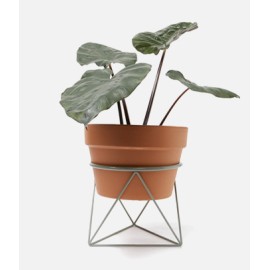 Furniture & Decors (0)